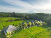 Top Ubud