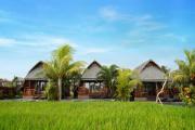 Top Ubud
