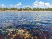 Top Praia dos Algodões