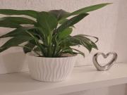 Apartment Promenada- 4pax with Parking
