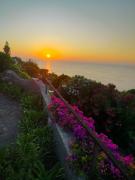 Top Ischia