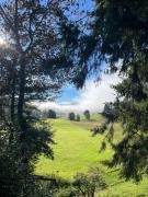 Top Schluchsee