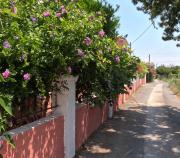 Top Acharavi Top Acharavi