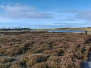 Top Vejers Strand