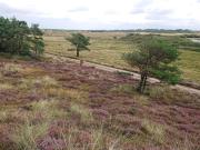 Top Vejers Strand