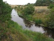 Top Vejers Strand