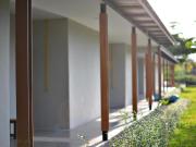 Top Surat Thani Top Surat Thani