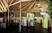 Top Maun
