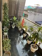 Top New Delhi