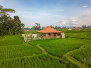 Top Ubud