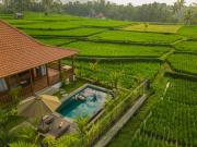 Top Ubud