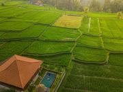 Top Ubud