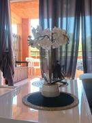 LES BULLES DE MONA - Marina Corse - 2 ch - Clim - Terrasse-pieds dans leau-plage