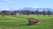 Top Laufen