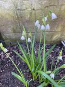 Godden Green B & B Guesthouse