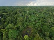 Top Internado Santa Sofia