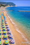 Top Marcelli