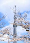 Top Tokyo