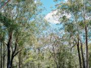 Top Falls Creek