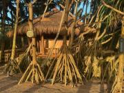 Coconut beach