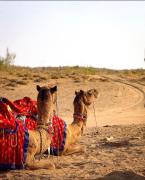 Top Jaisalmer