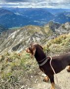 Top Oberstdorf