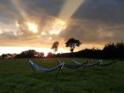 Top Kings Nympton