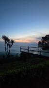 Wild wayanad resort