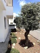 Top Paralimni