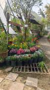 Cottages At Village Bhimtal-Naukuchiatal