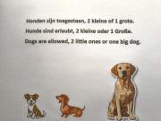 HOMARUS Bed by the Sea