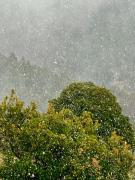 Kalavryta Villa Nano with fireplace and next the Ski Centre