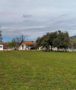 Aggelos Gardenhouse of Volos