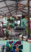 Top Thekkady