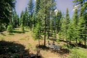 Serene mountain gem with large deck forest views & grill