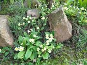 Top Saint-André-Goule-dʼOie