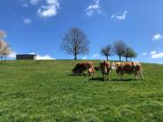 Top Bruck in der Oberpfalz