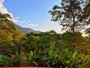 Top Melgar Top Melgar