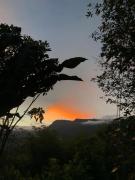 Top Cocorná