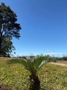 Top Monteverde