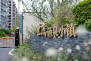 Top Taishan