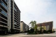 Top Zhongxing