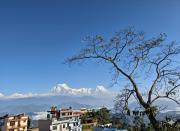 Mountain View Homestay