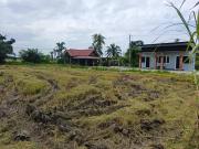 Top Sungai Besar