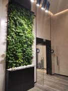 9 МММ ККК НЙ вулиця Антоновича, 74