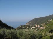 Top Moneglia