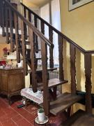Top Todi