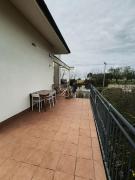 Top Ancona