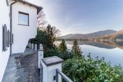 Top Collina dOro