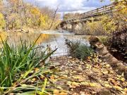 Top Medicine Park